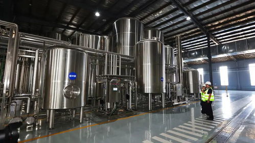 年灌裝成品酒1.45萬(wàn)噸 雪樹(shù)七日鮮 下線